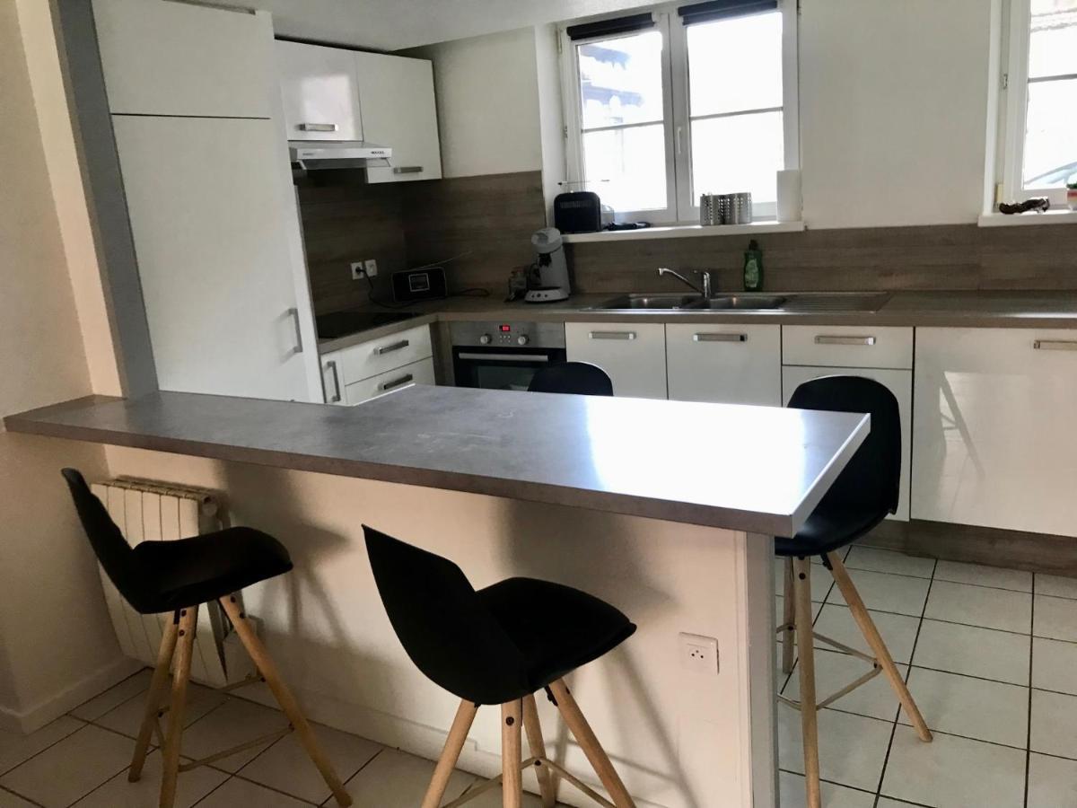 Appartement Plain-pied Avec Jardin Du Centre Alsace *