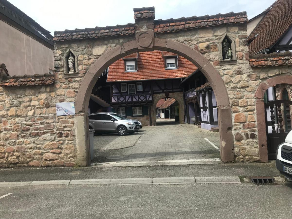 Apartment Plain-pied Avec Jardin Du Centre Alsace *