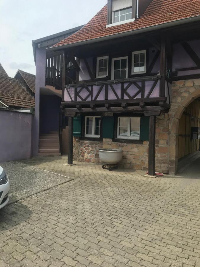 Apartment Plain-pied Avec Jardin Du Centre Alsace Ebersheim